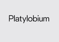 Platylobium Landscape Design image 2